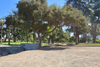 Service project to create native plant garden near Sylvan Park
