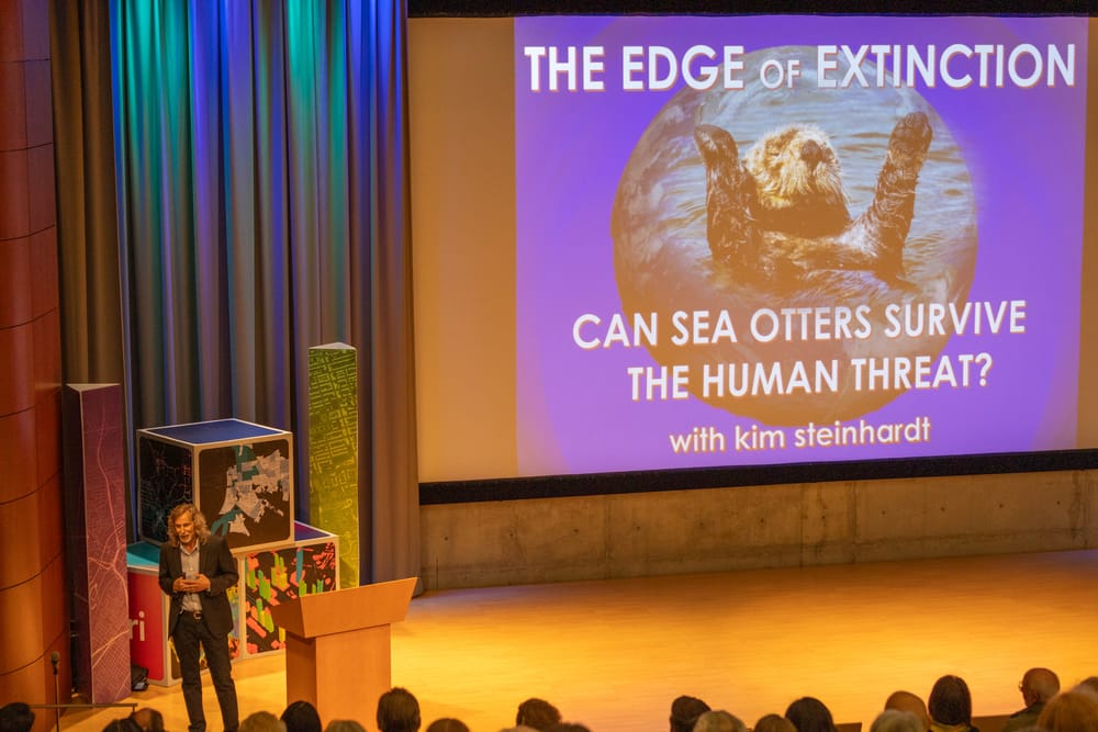 Wildlife photographer captures sea otters’ struggle for survival